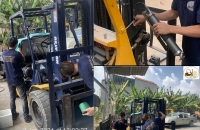 Bảo dưỡng xe nâng định kỳ như thế nào