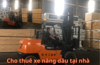 Thuê Xe Nâng KCN Tân Bình Bình Dương: Uy Tín, Giá Rẻ, Có Mặt Ngay