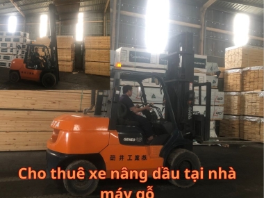 Thuê Xe Nâng KCN An Tây: Uy Tín, Giá Rẻ, Có Mặt Ngay